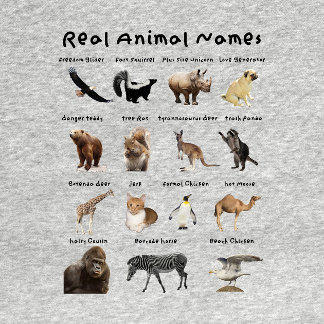 Real Animal Names - Animals - Long Sleeve T-Shirt | TeePublic